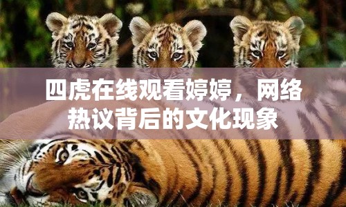 四虎在線觀看婷婷，網(wǎng)絡(luò)熱議背后的文化現(xiàn)象