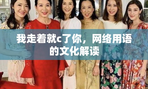 我走著就c了你，網絡用語的文化解讀