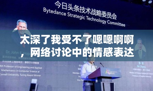 太深了我受不了嗯嗯啊啊，網(wǎng)絡(luò)討論中的情感表達(dá)與邊界探討