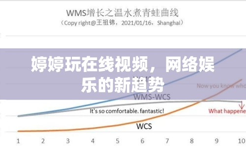 婷婷玩在線視頻，網(wǎng)絡(luò)娛樂的新趨勢