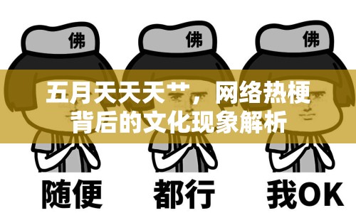 五月天天天艸，網(wǎng)絡(luò)熱梗背后的文化現(xiàn)象解析