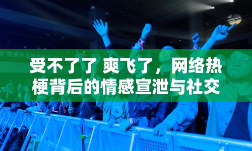 受不了了 爽飛了，網(wǎng)絡熱梗背后的情感宣泄與社交狂歡