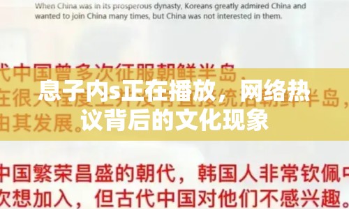 息子內(nèi)s正在播放，網(wǎng)絡(luò)熱議背后的文化現(xiàn)象