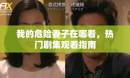 我的危險妻子在哪看，熱門劇集觀看指南