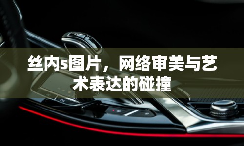 絲內(nèi)s圖片，網(wǎng)絡(luò)審美與藝術(shù)表達的碰撞