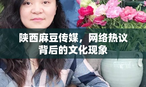 陜西麻豆傳媒，網(wǎng)絡(luò)熱議背后的文化現(xiàn)象