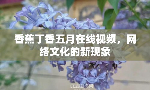 香蕉丁香五月在線視頻，網(wǎng)絡(luò)文化的新現(xiàn)象