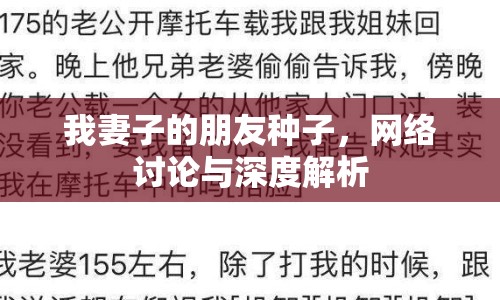 我妻子的朋友種子，網(wǎng)絡(luò)討論與深度解析