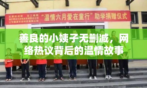 善良的小姨子無(wú)刪減，網(wǎng)絡(luò)熱議背后的溫情故事