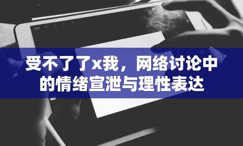 受不了了x我，網(wǎng)絡(luò)討論中的情緒宣泄與理性表達(dá)