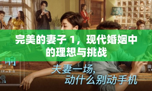 完美的妻子 1，現(xiàn)代婚姻中的理想與挑戰(zhàn)