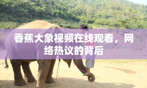 香蕉大象視頻在線觀看，網(wǎng)絡(luò)熱議的背后