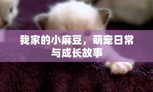 我家的小麻豆，萌寵日常與成長(zhǎng)故事
