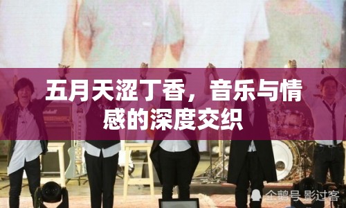 五月天澀丁香，音樂與情感的深度交織
