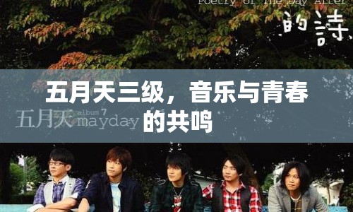 五月天三級，音樂與青春的共鳴