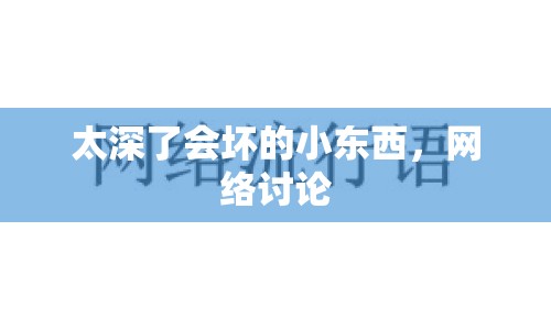太深了會壞的小東西，網(wǎng)絡(luò)討論