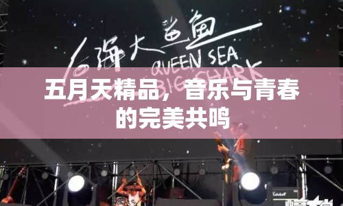 五月天精品，音樂與青春的完美共鳴