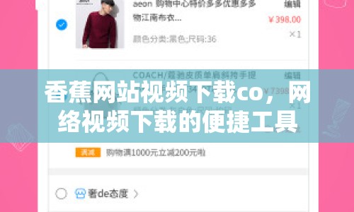 香蕉網(wǎng)站視頻下載co，網(wǎng)絡(luò)視頻下載的便捷工具