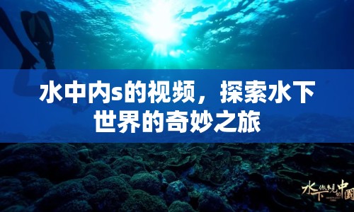 水中內(nèi)s的視頻，探索水下世界的奇妙之旅