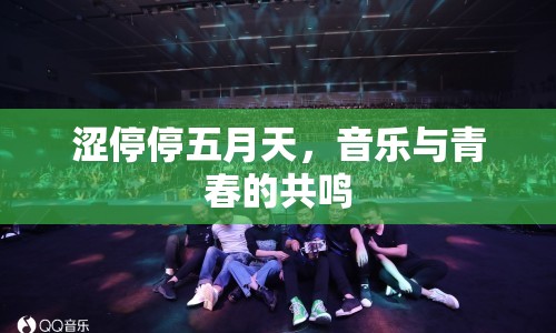 澀停停五月天，音樂與青春的共鳴