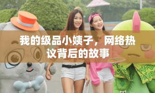 我的級品小姨子，網(wǎng)絡(luò)熱議背后的故事