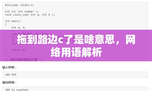 拖到路邊c了是啥意思，網(wǎng)絡(luò)用語解析