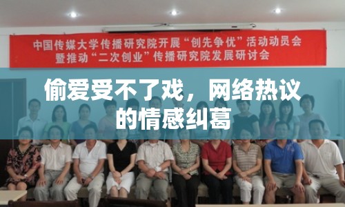 偷愛受不了戲，網(wǎng)絡熱議的情感糾葛