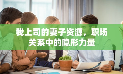 我上司的妻子資源，職場關(guān)系中的隱形力量