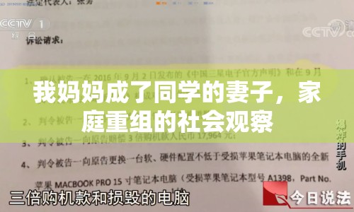 我媽媽成了同學(xué)的妻子，家庭重組的社會觀察