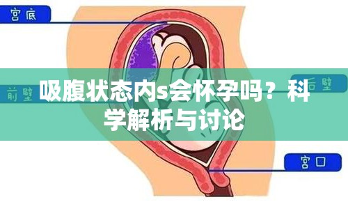 吸腹?fàn)顟B(tài)內(nèi)s會(huì)懷孕嗎？科學(xué)解析與討論