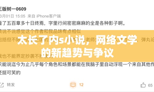 太長了內(nèi)s小說，網(wǎng)絡(luò)文學(xué)的新趨勢與爭議