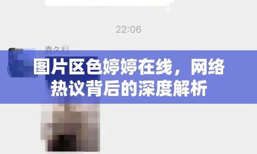 圖片區(qū)色婷婷在線，網(wǎng)絡(luò)熱議背后的深度解析
