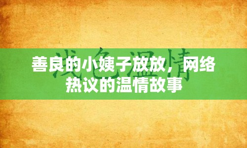 善良的小姨子放放，網(wǎng)絡(luò)熱議的溫情故事