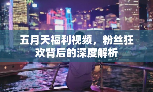 五月天福利視頻，粉絲狂歡背后的深度解析