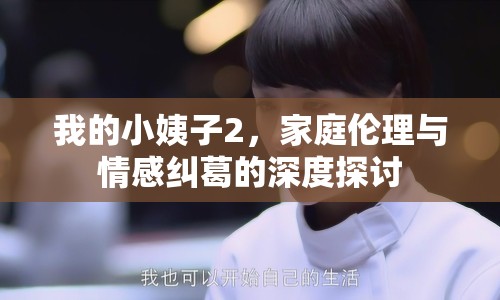 我的小姨子2，家庭倫理與情感糾葛的深度探討