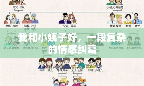 我和小姨子好，一段復(fù)雜的情感糾葛