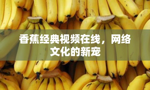香蕉經(jīng)典視頻在線，網(wǎng)絡(luò)文化的新寵