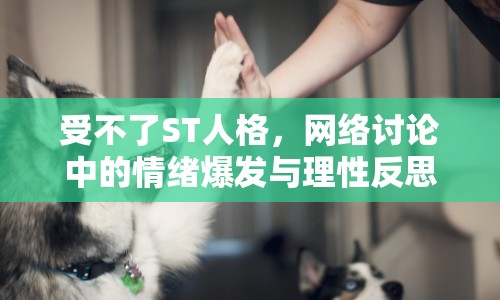 受不了ST人格，網(wǎng)絡(luò)討論中的情緒爆發(fā)與理性反思