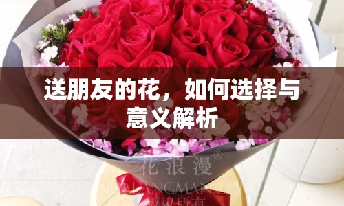送朋友的花，如何選擇與意義解析