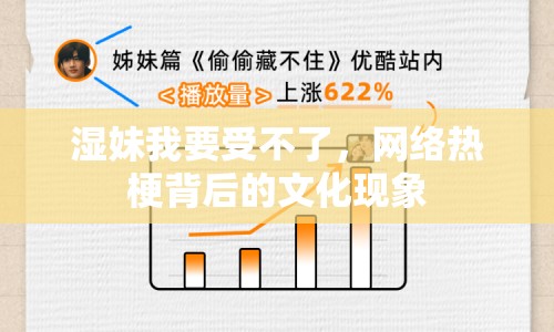 濕妹我要受不了，網(wǎng)絡(luò)熱梗背后的文化現(xiàn)象