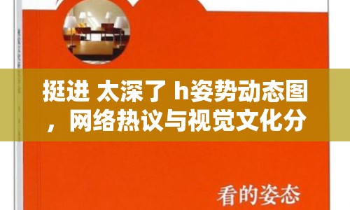 挺進(jìn) 太深了 h姿勢(shì)動(dòng)態(tài)圖，網(wǎng)絡(luò)熱議與視覺(jué)文化分析