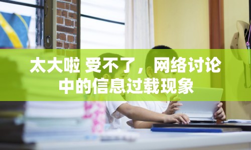 太大啦 受不了，網(wǎng)絡(luò)討論中的信息過載現(xiàn)象