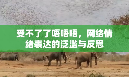 受不了了唔唔唔，網(wǎng)絡(luò)情緒表達的泛濫與反思
