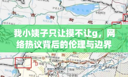 我小姨子只讓摸不讓g，網絡熱議背后的倫理與邊界