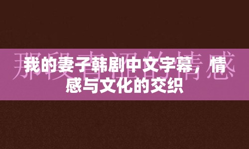 我的妻子韓劇中文字幕，情感與文化的交織