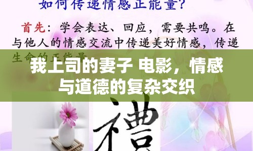 我上司的妻子 電影，情感與道德的復(fù)雜交織
