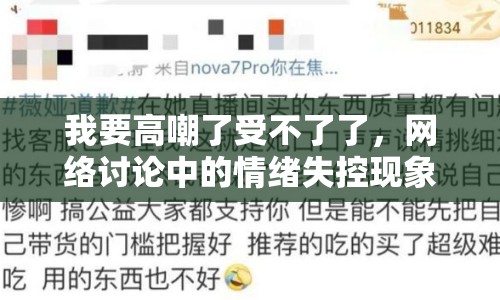 我要高嘲了受不了了，網(wǎng)絡(luò)討論中的情緒失控現(xiàn)象