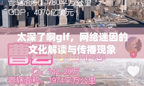 太深了啊gif，網(wǎng)絡(luò)迷因的文化解讀與傳播現(xiàn)象