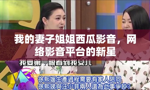 我的妻子姐姐西瓜影音，網(wǎng)絡(luò)影音平臺的新星