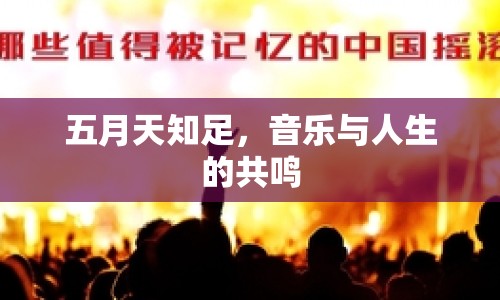 五月天知足，音樂與人生的共鳴